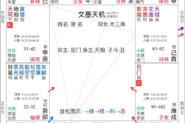 紫薇斗数性格定盘