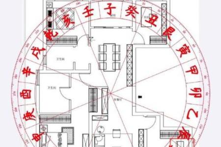 知识：风水术的望、闻、问、切