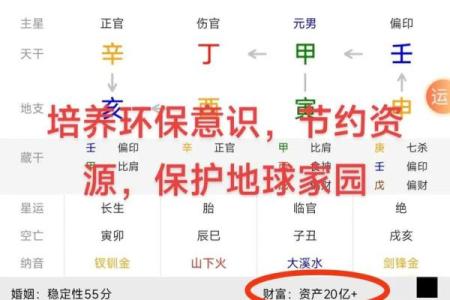 八字排盘软件安易居