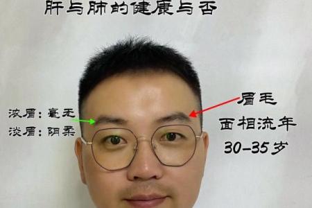 眉毛很浅在面相算命中是怎么说
