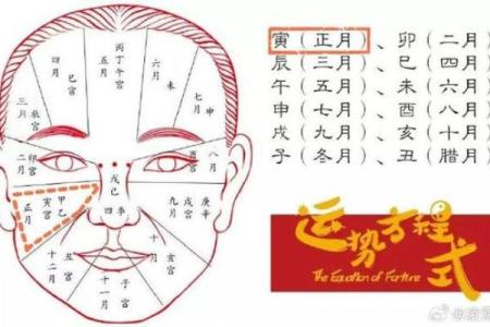 有关印堂面相算命图解