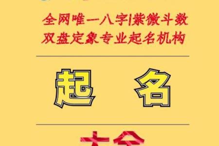 周易取名网,周易算命免费起名大全