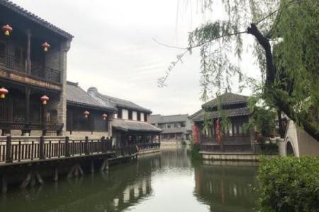 山东台儿庄马先生算命