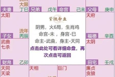 紫薇斗数性格定盘