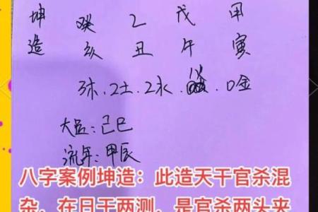 八字论杀