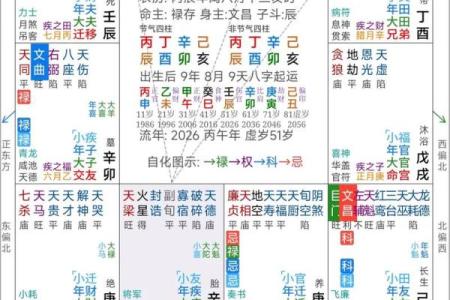 紫薇斗数事业算命