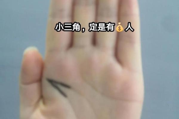 风水川字掌手相男人的命运解析