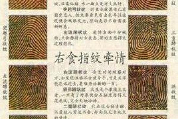 指纹算命 十指指纹算命查询