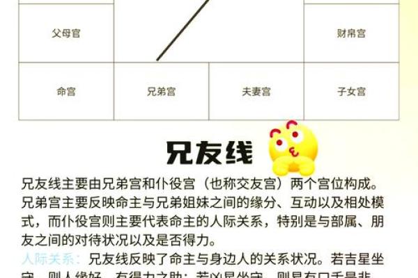 紫薇斗数中最准确的解释