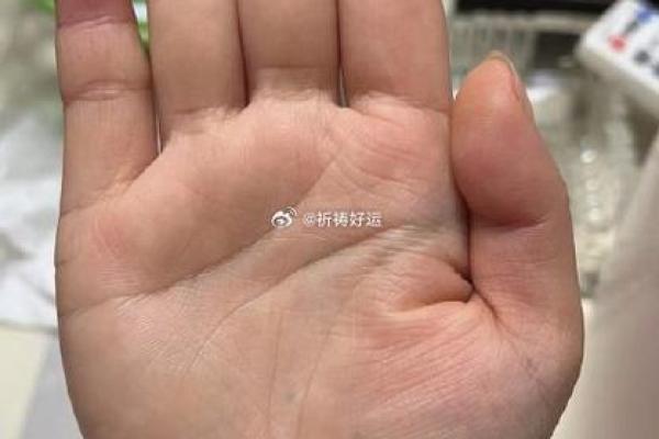 八字算命术和手相面相哪个更准确