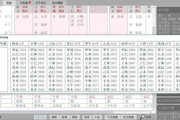 新派八字排盘软件下载