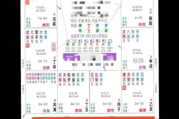 八字流年详批免费