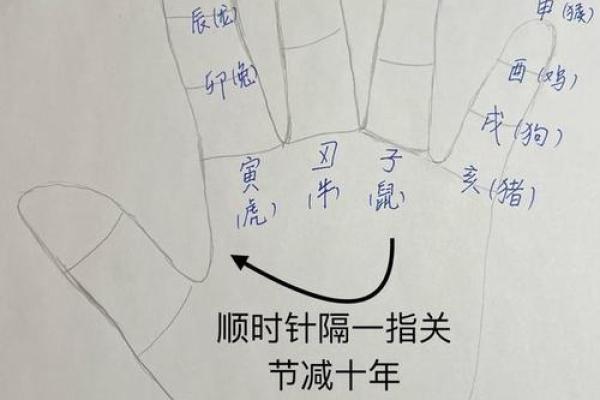 手相算命的基本原则 手相算命的基本原则