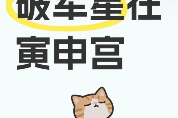 紫薇斗数兄弟破军