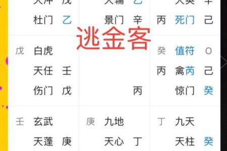 算命不搭理
