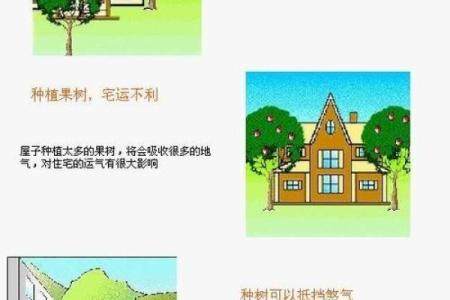 难怪家里总没钱，原来是房屋风水没养好！不信你看~