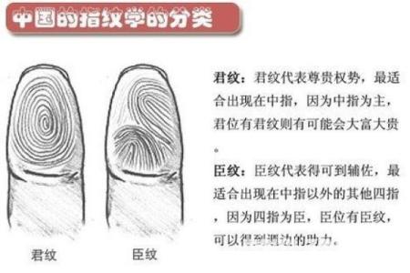 指纹算命 十指指纹算命查询