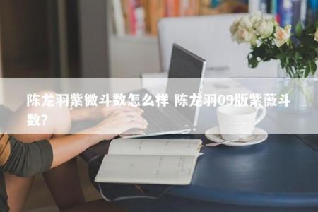 陈龙羽紫微斗数怎么样 陈龙羽09版紫薇斗数？