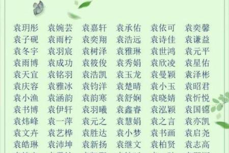 宝宝起名网取名生辰八字
