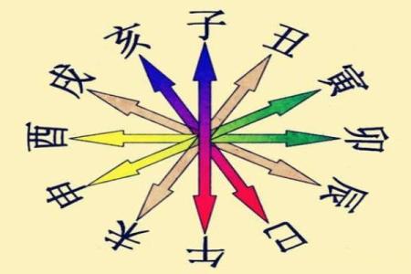 八字看月柱