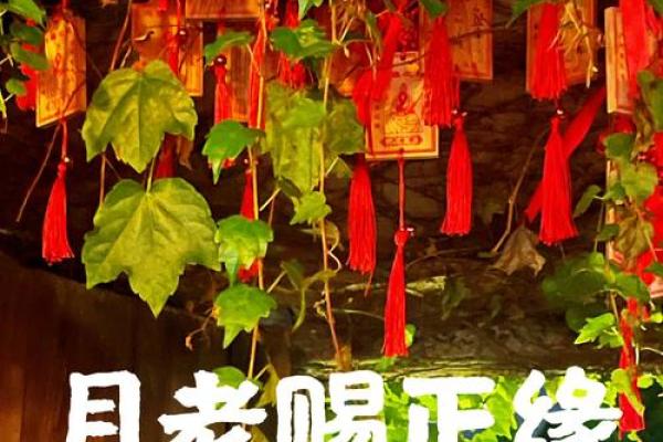 月老61签是上签求姻缘 月老61签会不会复合？
