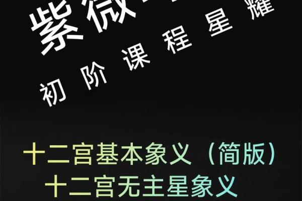 紫微斗数成大事的命格,官禄宫事业领导力强