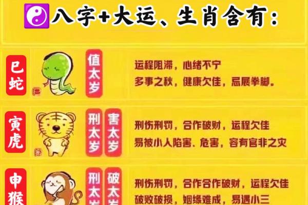 八字是什么肖