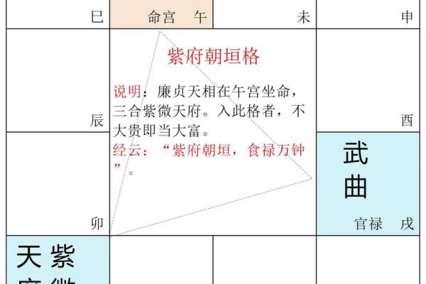 紫微斗数任务在哪接 紫微斗数引导任务？