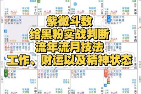 紫微斗数能断多细 紫微斗数秘断口诀？