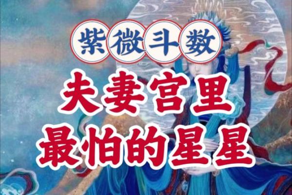 紫微斗数之各星曜所主行业：看婚姻