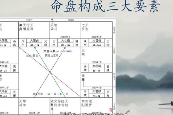 紫薇斗数先天盘