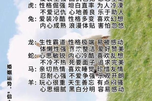 生肖性格测试：十二生肖强意思大揭秘！