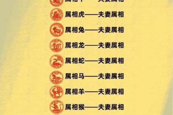 十二生肖算命婚姻配对准吗