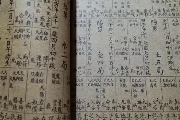 倪海厦紫薇斗数的真实水平