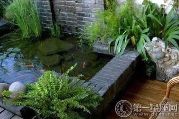 房子门口水池风水