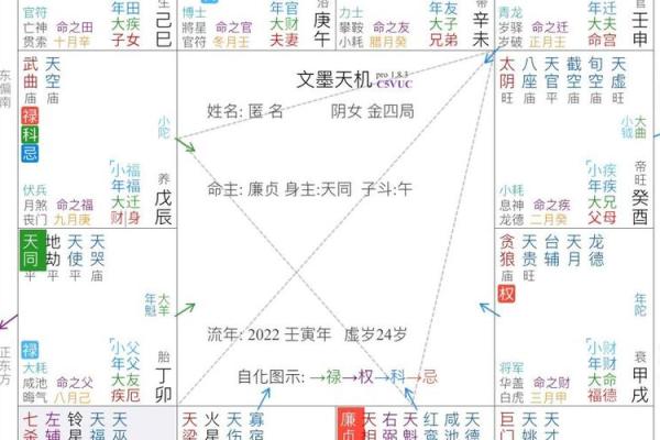 紫薇斗数流年2004