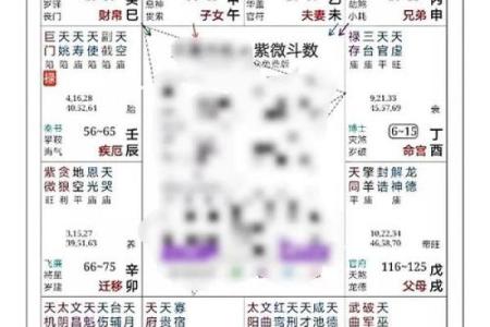 《紫微斗数》：哪些命盘创业不易成功