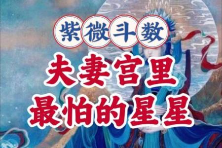 紫微斗数之各星曜所主行业：看婚姻