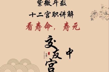 紫薇斗数测算寿命