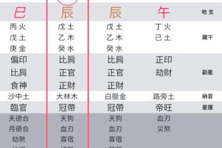 详解八字命盘中的十神关系及其作用