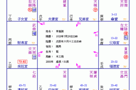 逆流紫薇斗数