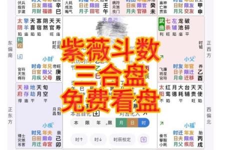 紫薇斗数先天盘