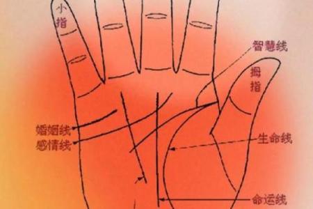 算命中指的官是什么