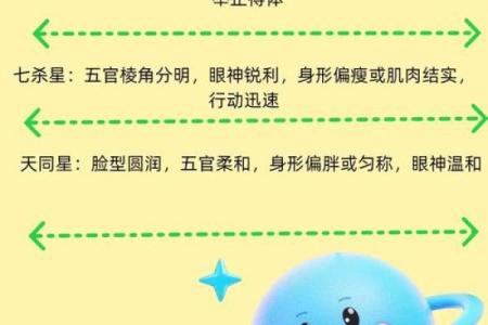 紫薇斗数斗君起法