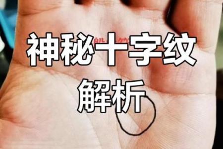图解-智慧线上有十字纹算命