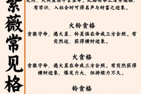 紫薇微斗数精诚