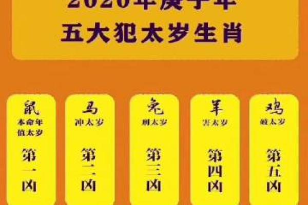 算命说会孝顺婆家是啥意思