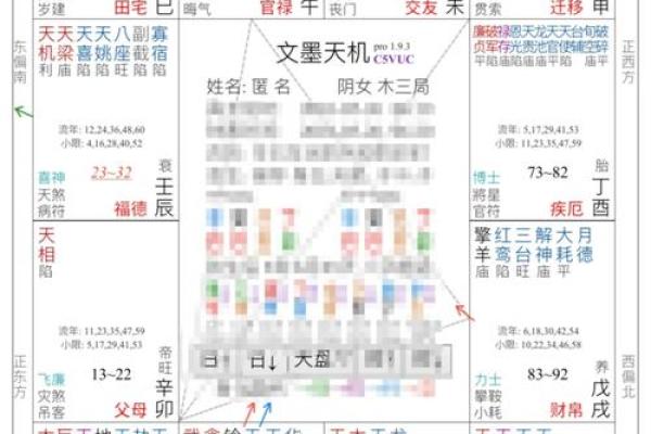 紫微斗数命盘大运流年解析0623