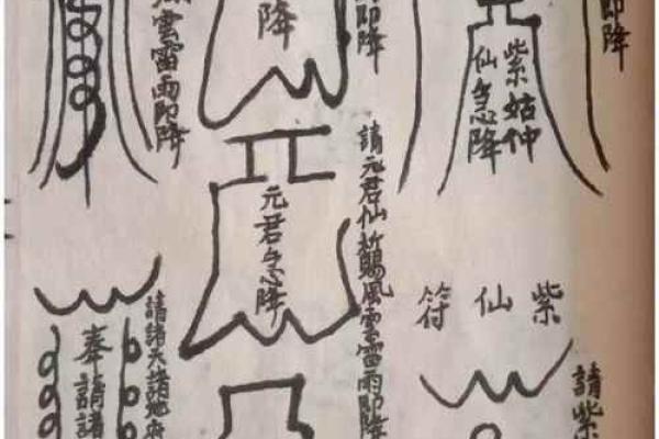 灵仙姑签解