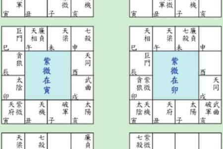 紫微斗数命宫在寅紫薇天府